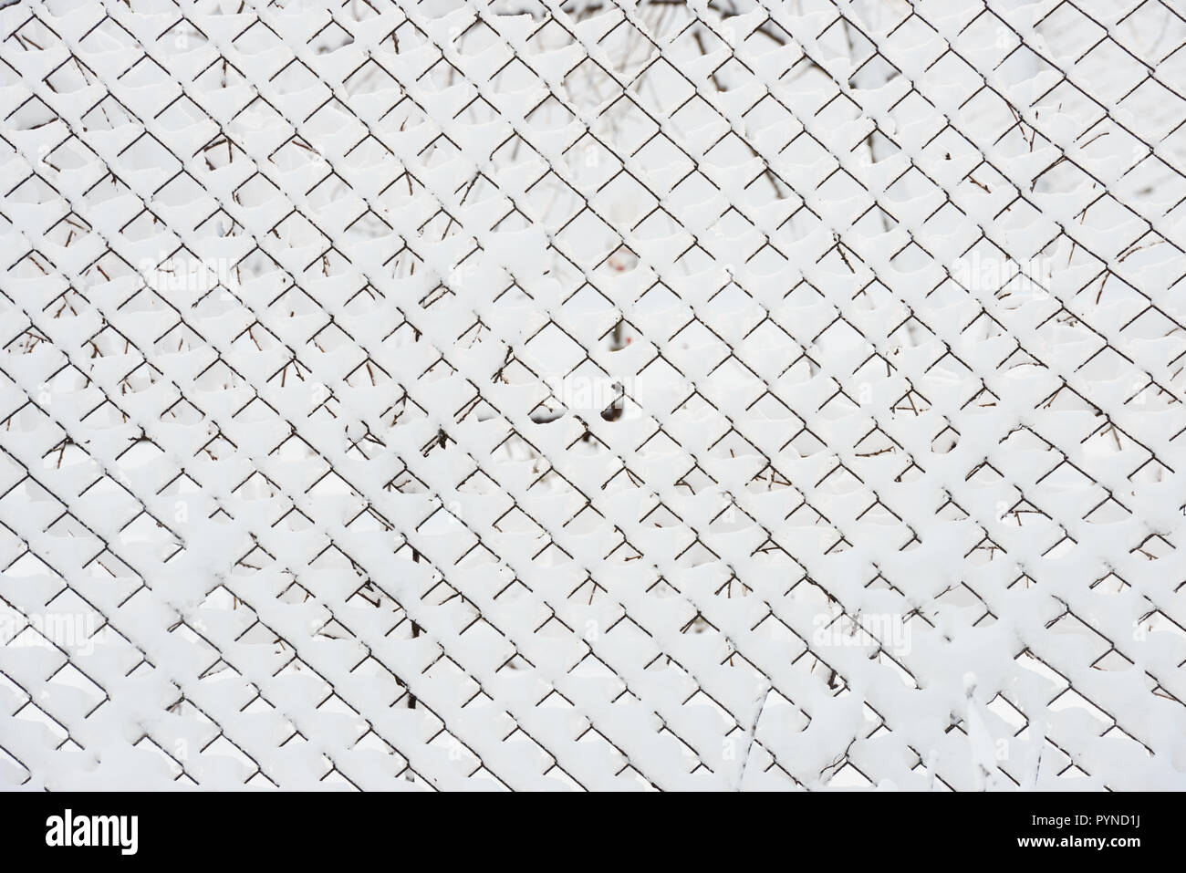 Close-up del modello di molte cellule del Catena-collegamento recinto che sono coperti con un luminoso bianco snowin fresca luce del mattino invernale. Foto Stock