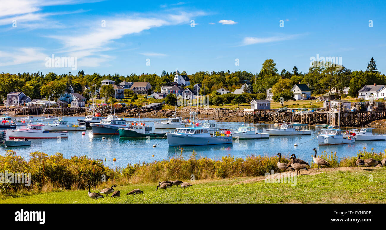 Piccolo borgo di pescatori e il porto di Corea sulla costa dell'Oceano Atlantico del Maine negli Stati Uniti Foto Stock