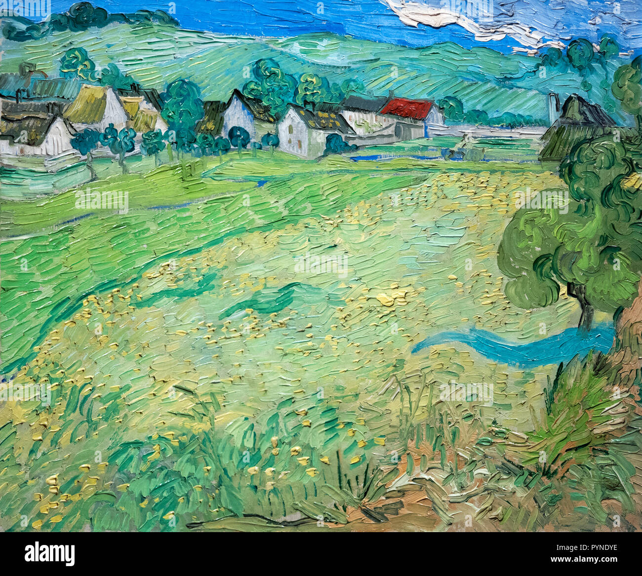 Les Vessenots à Auvers (vista di Vessenots vicino a Auvers) di Vincent van Gogh (1853-1890), olio su tela, 1890 Foto Stock