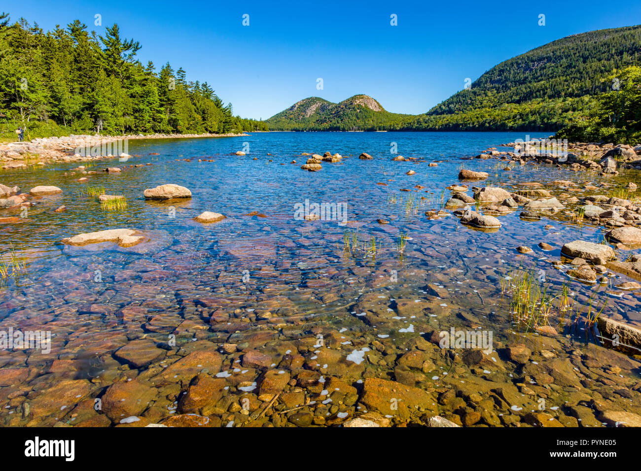 Guardando verso il basso Jordan Pond a bolle nel Parco Nazionale di Acadia nel Maine negli Stati Uniti Foto Stock