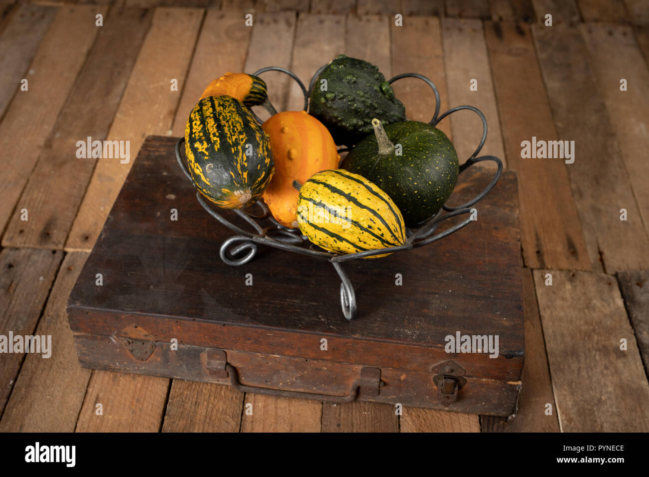 Zucca decorativa su una cucina bianca tabella. La frutta per la festa di Halloween per decorazioni. Autunno sfondo. Foto Stock