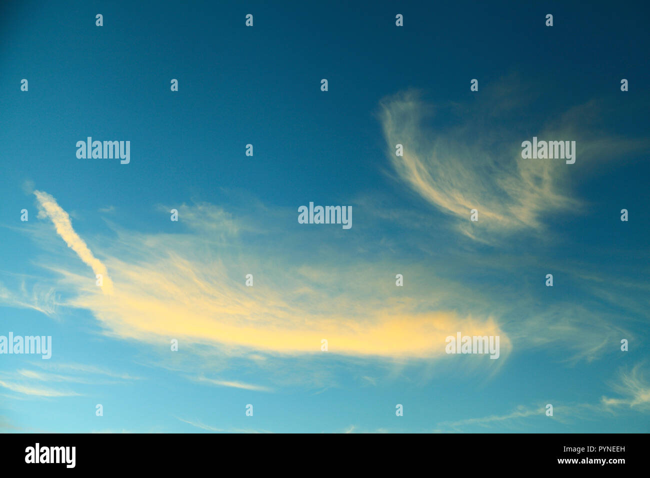 Cirrus cloud, formazione, nuvola bianca, nuvole, cielo blu Foto Stock