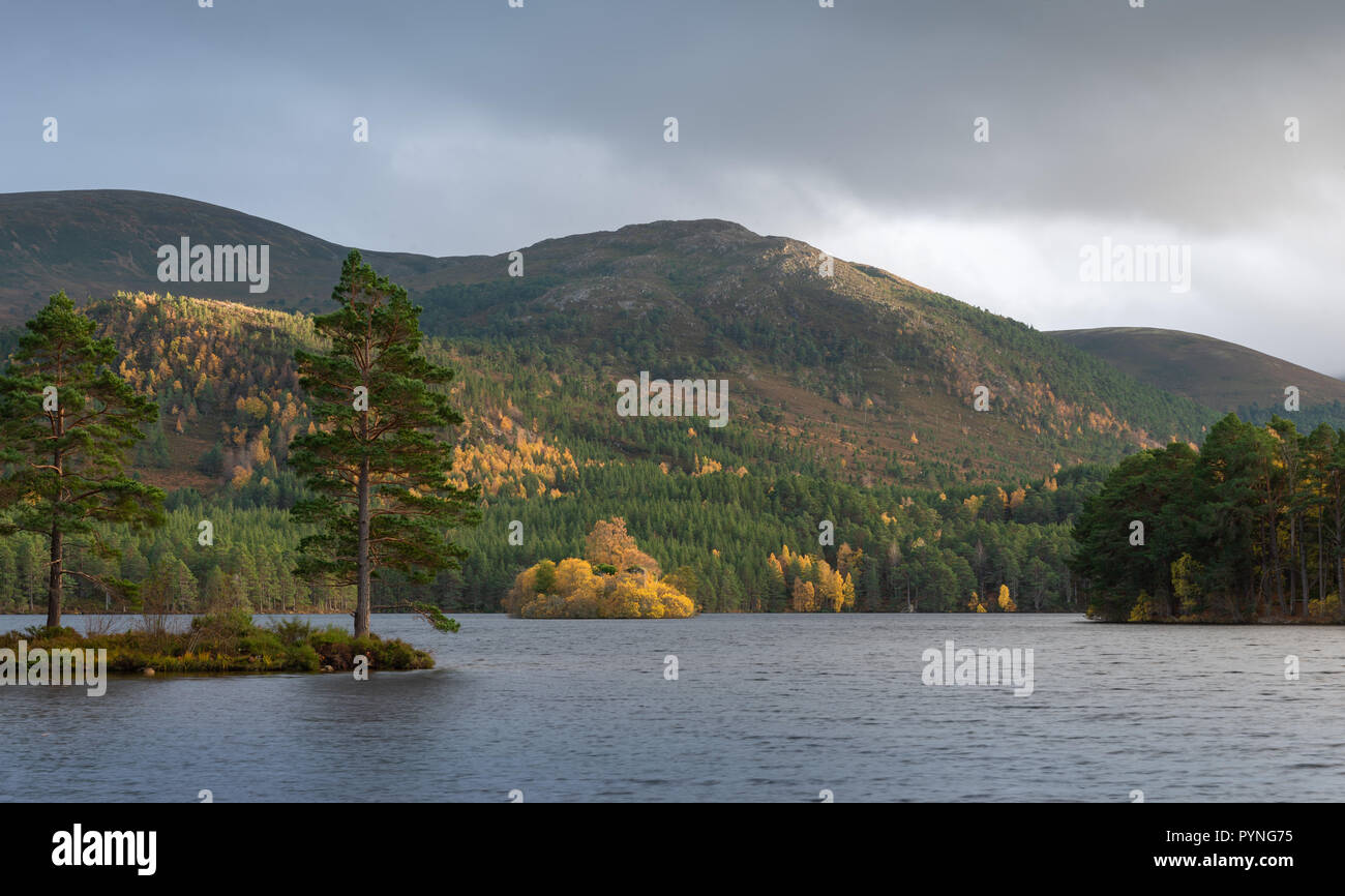 Loch un Eilein, Rothiemurchus Estate in Cairngorm National Park nelle Highlands Scozzesi. Preso in autunno come il sole sta per tramontare. Foto Stock