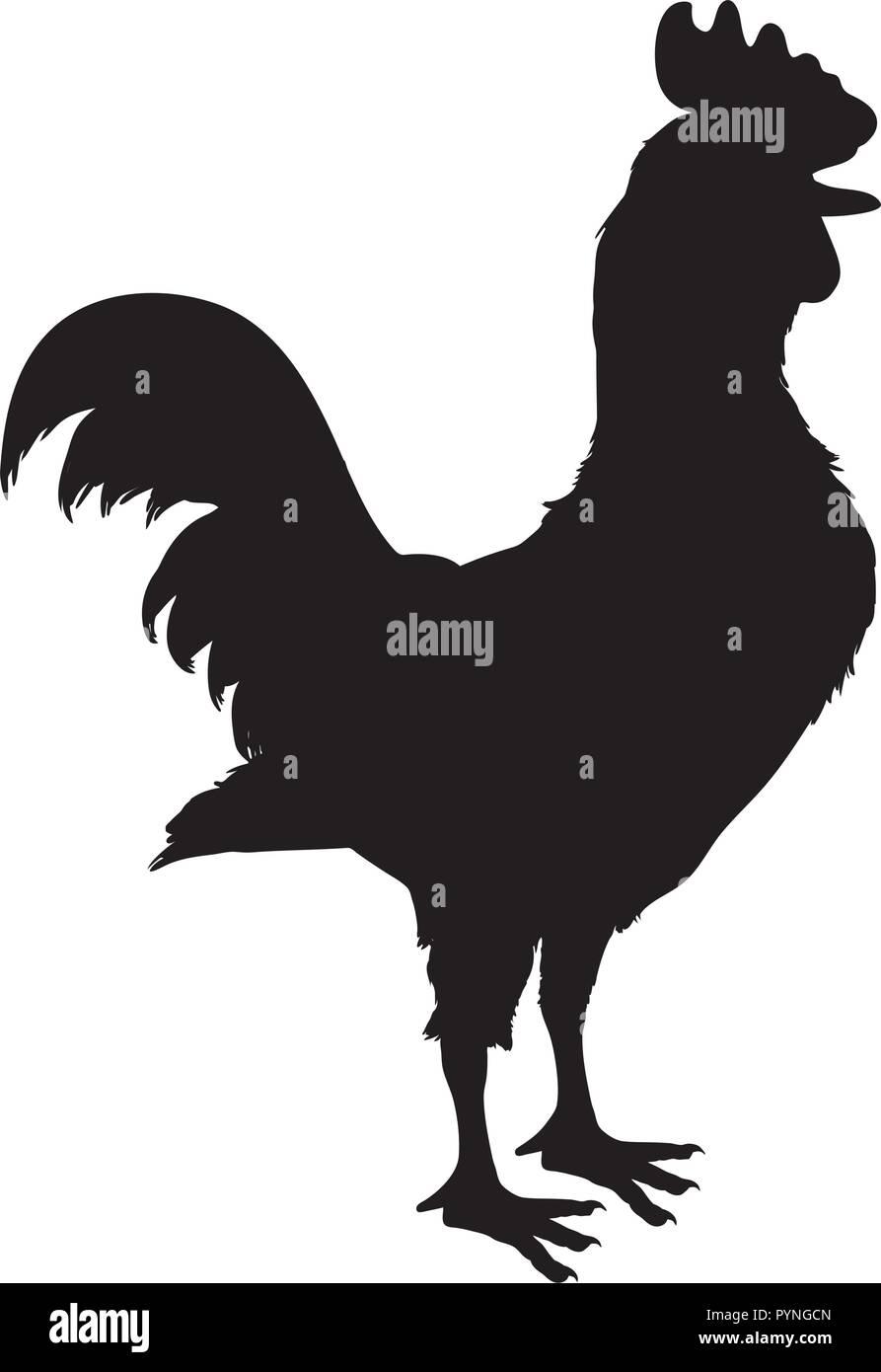 La Rooster fattoria degli animali icona illustrazione vettoriale design Illustrazione Vettoriale