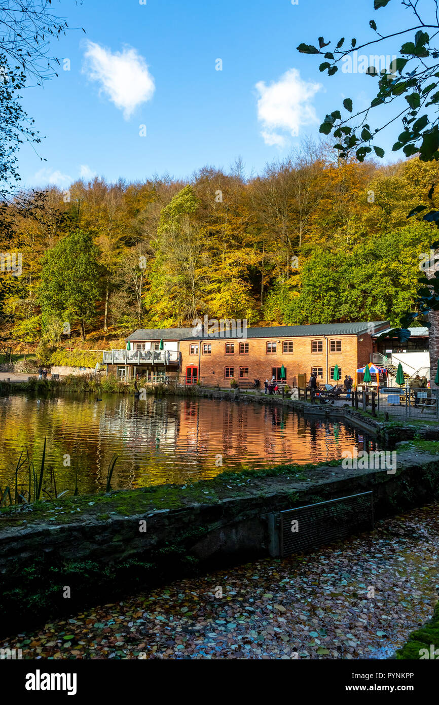 Mill e mill pond. Festival di zucca, Dean Heritage Centre, Foresta di Dean. Foto Stock