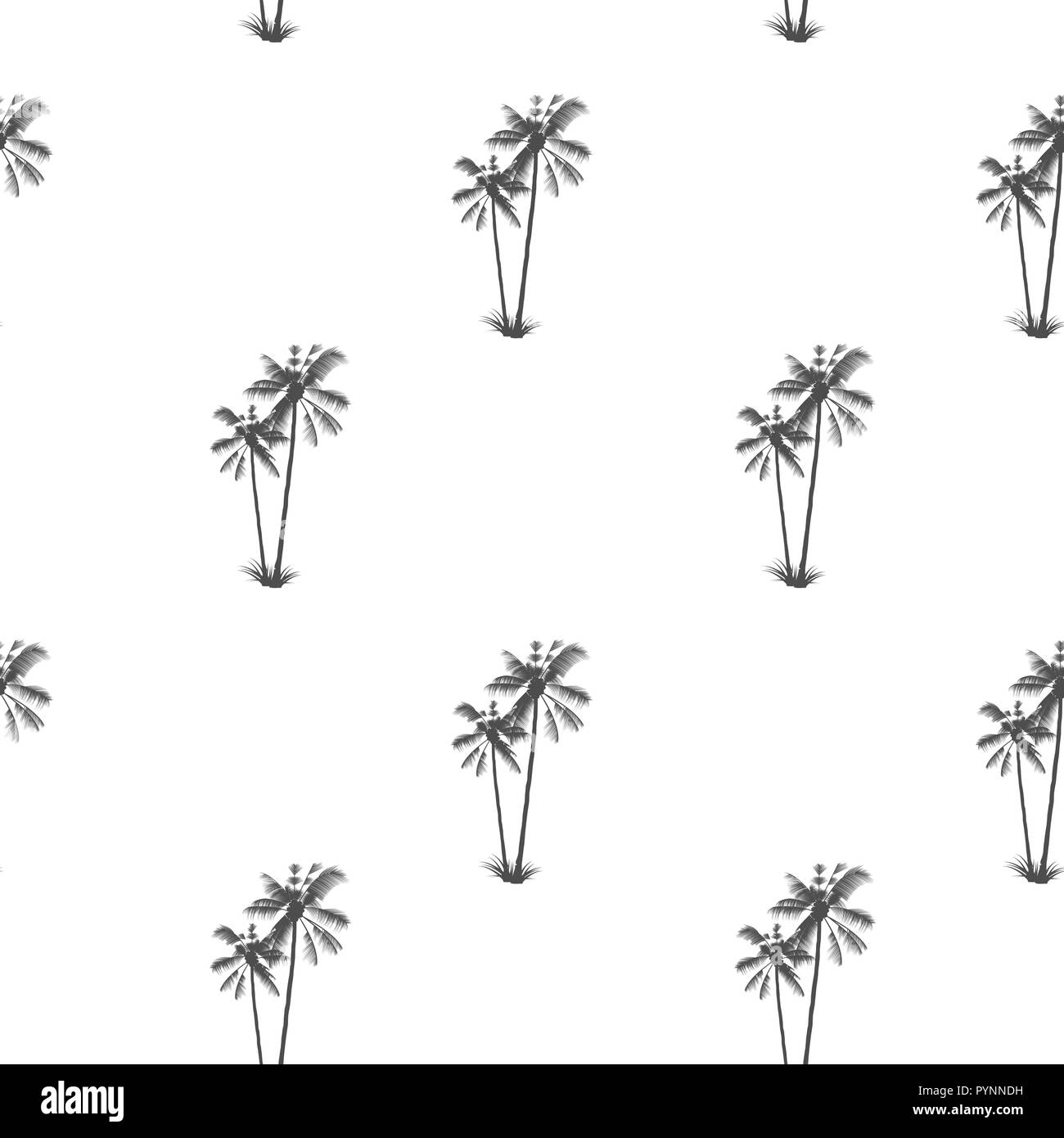 Modello di Palm. Exotic Tropical tree. Delizia tropicale Illustrazione Vettoriale