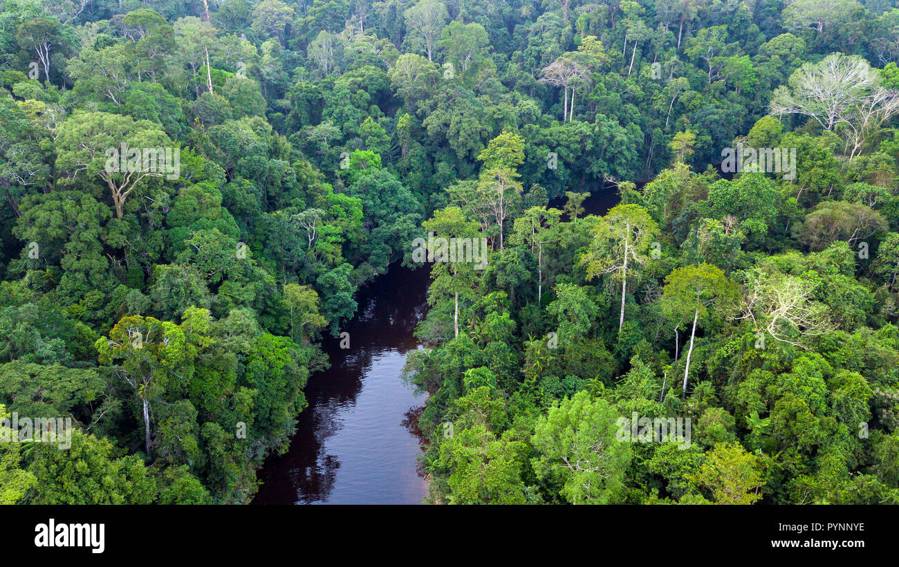 Vista aerea del Taman Negara e la foresta pluviale tropicale in Malesia Foto Stock