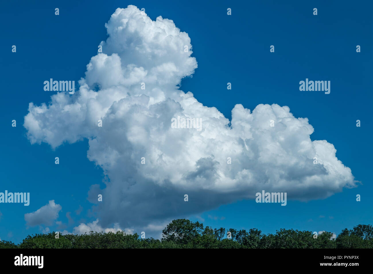 Bella nuvole bianche di formatura e in movimento in cielo blu. Foto Stock