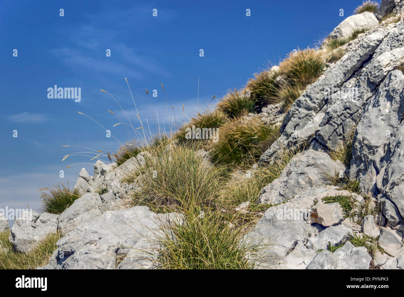 Parco nazionale di Lovcen, Montenegro - autunnale di paesaggio di montagna Foto Stock