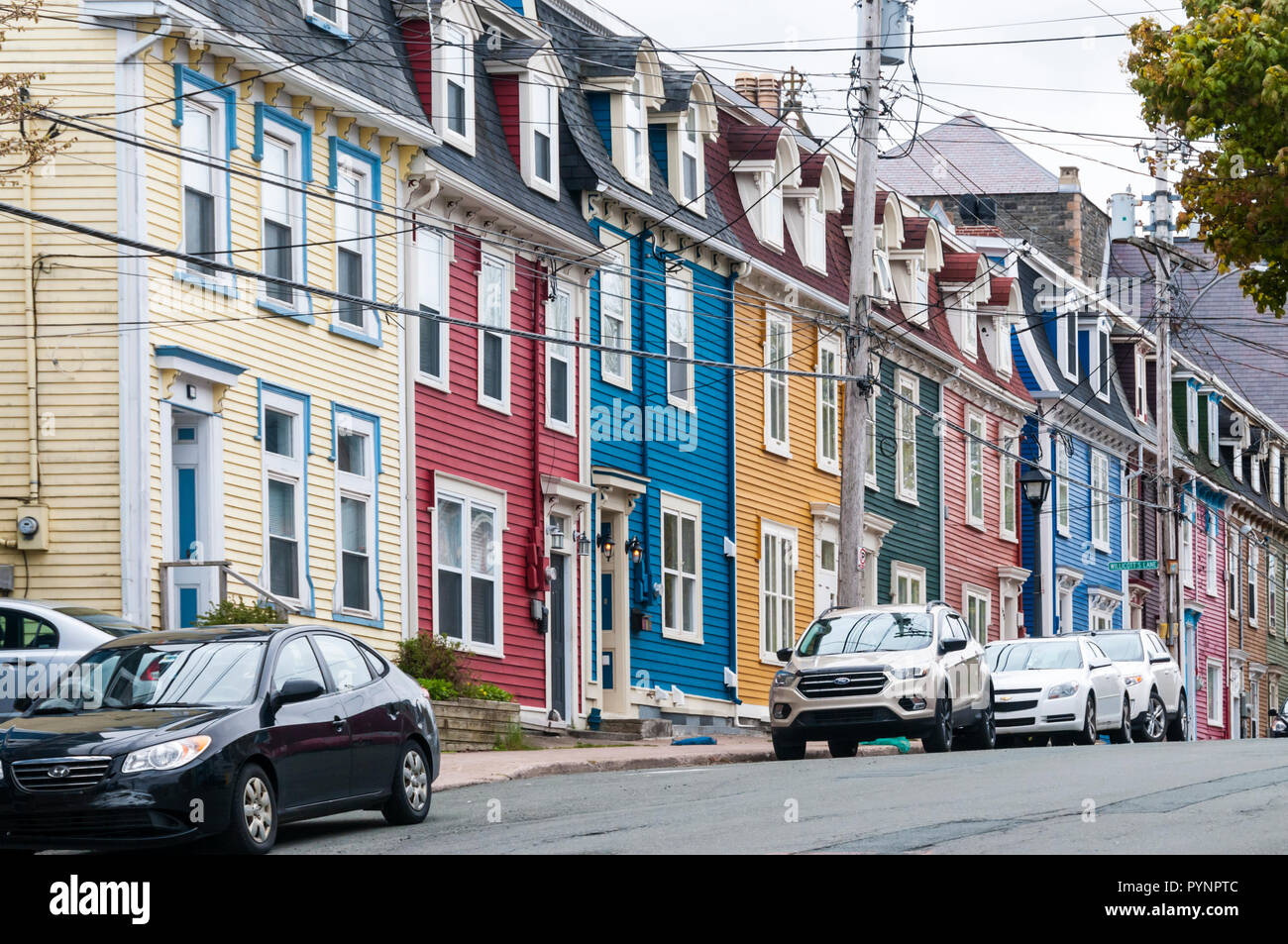 Case colorate su Gower Street a St John, Terranova. Foto Stock