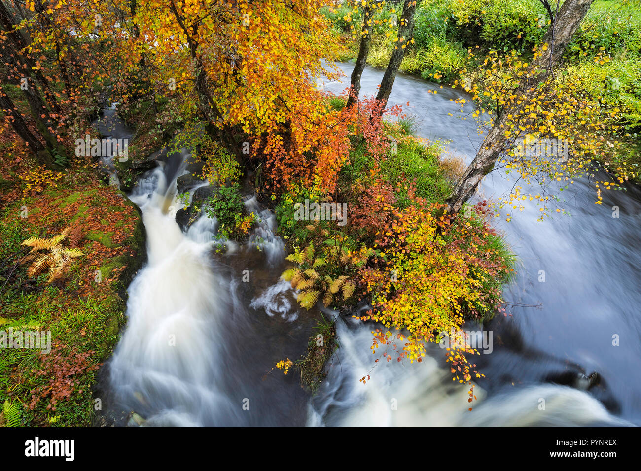 River Dochart, Killin, Perthshire Scozia Scotland Foto Stock