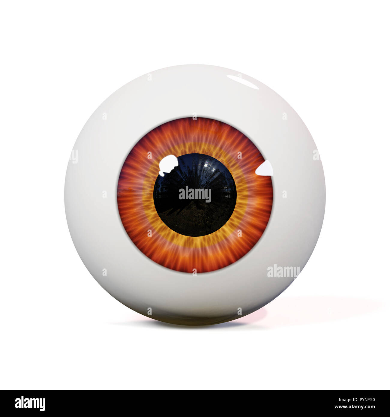 Bulbo oculare umana con iride marrone isolato con ombra su sfondo bianco (3d rendering) Foto Stock