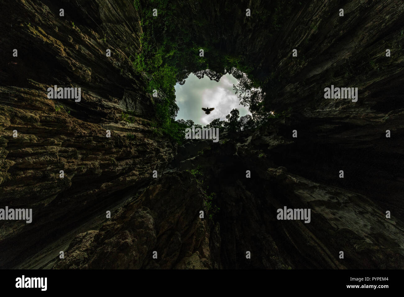 Piccioni battenti molto velocemente all'interno della grotta Butu, uno del luogo spirituale per la comunità indiana che vivono in Malesia Foto Stock