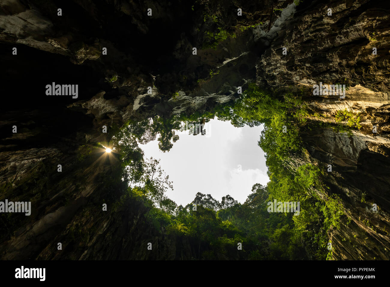 Piccioni battenti molto velocemente all'interno della grotta Butu, uno del luogo spirituale per la comunità indiana che vivono in Malesia Foto Stock