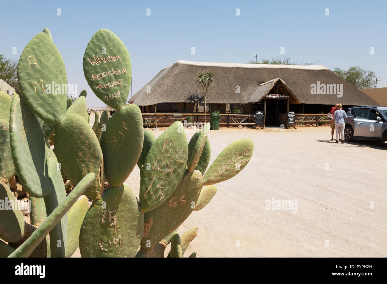 La Namibia travel - graffiti sui cactus fuori Mcgregor's Bakery, Solitaire, Namibia Africa Foto Stock