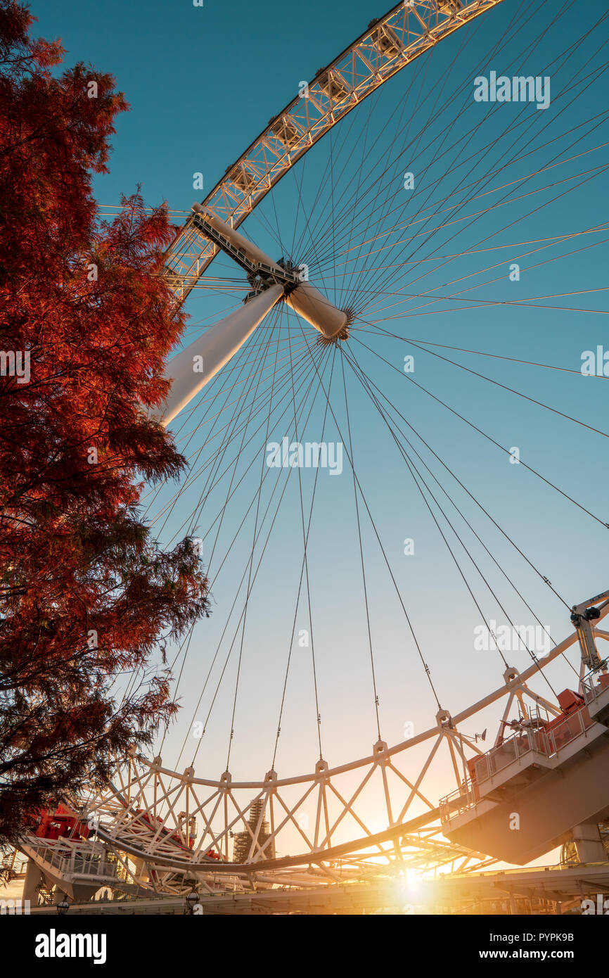 Autunno tramonto al London Eye Foto Stock