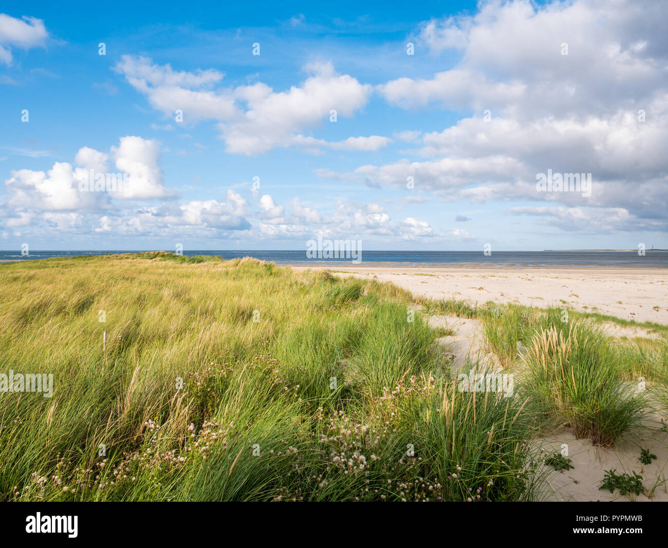 Dune e Spiaggia di Boschplaat su Terschelling island, uscita di marea e Borndiep Ameland isola con faro, il Wadden Sea, Paesi Bassi Foto Stock