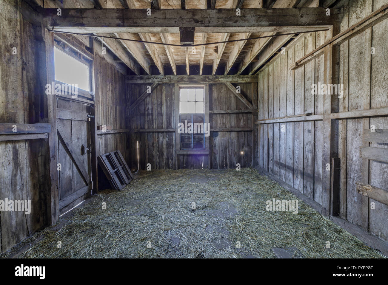 Cavallo vecchio granaio di Wilder Ranch parco dello stato Foto Stock