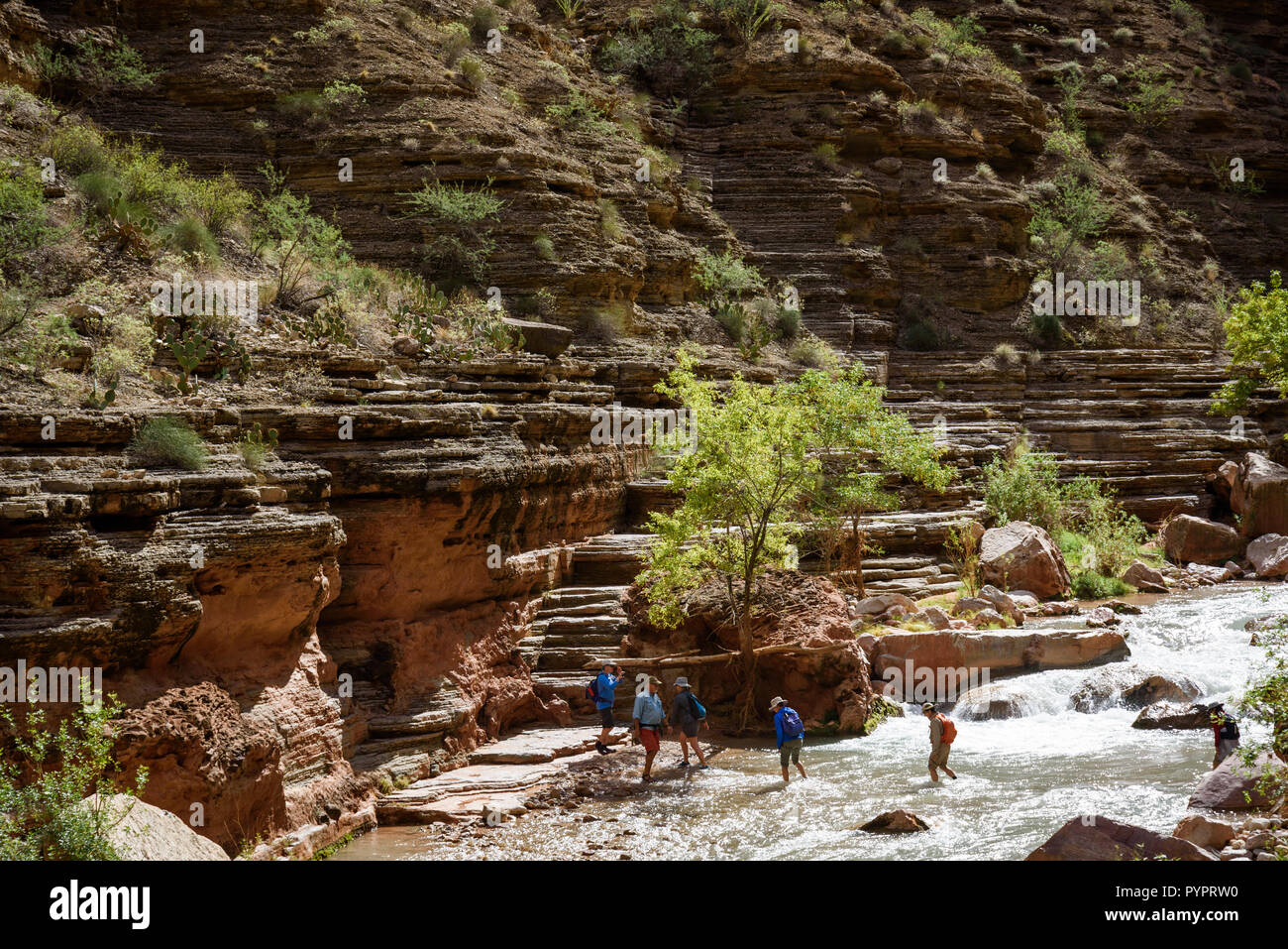 Escursionismo Havasu Creek. Rafting sul fiume Colorado e il Grand Canyon, Arizona, Stati Uniti d'America. Foto Stock