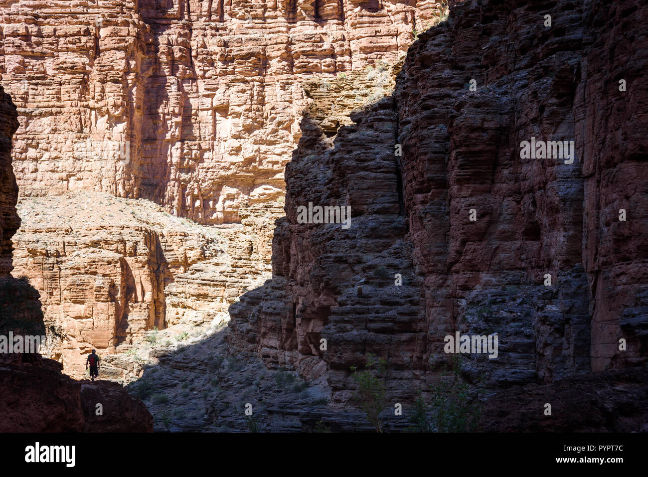 Escursionismo Havasu Creek. Rafting sul fiume Colorado e il Grand Canyon, Arizona, Stati Uniti d'America. Foto Stock