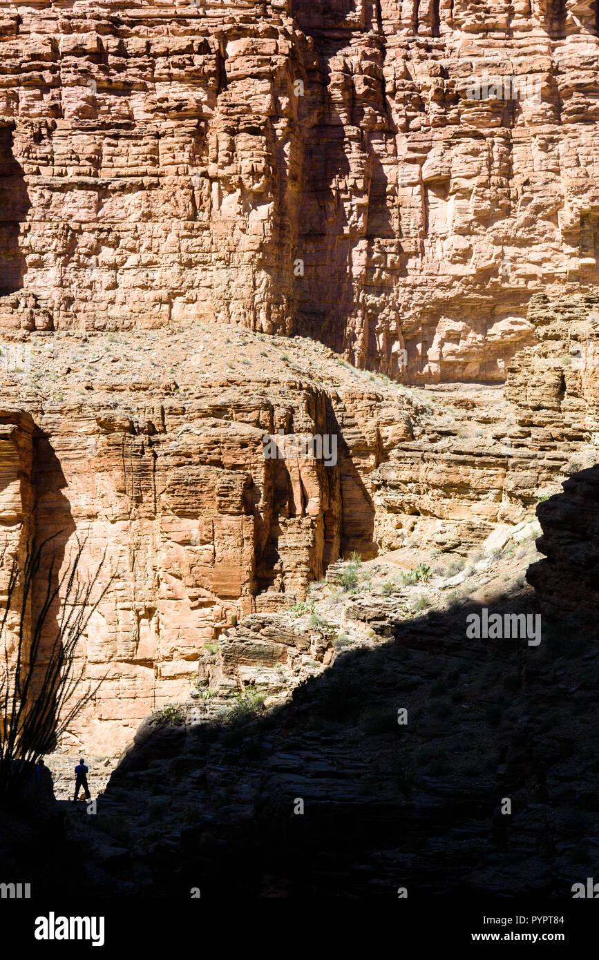 Escursionismo Havasu Creek. Rafting sul fiume Colorado e il Grand Canyon, Arizona, Stati Uniti d'America. Foto Stock