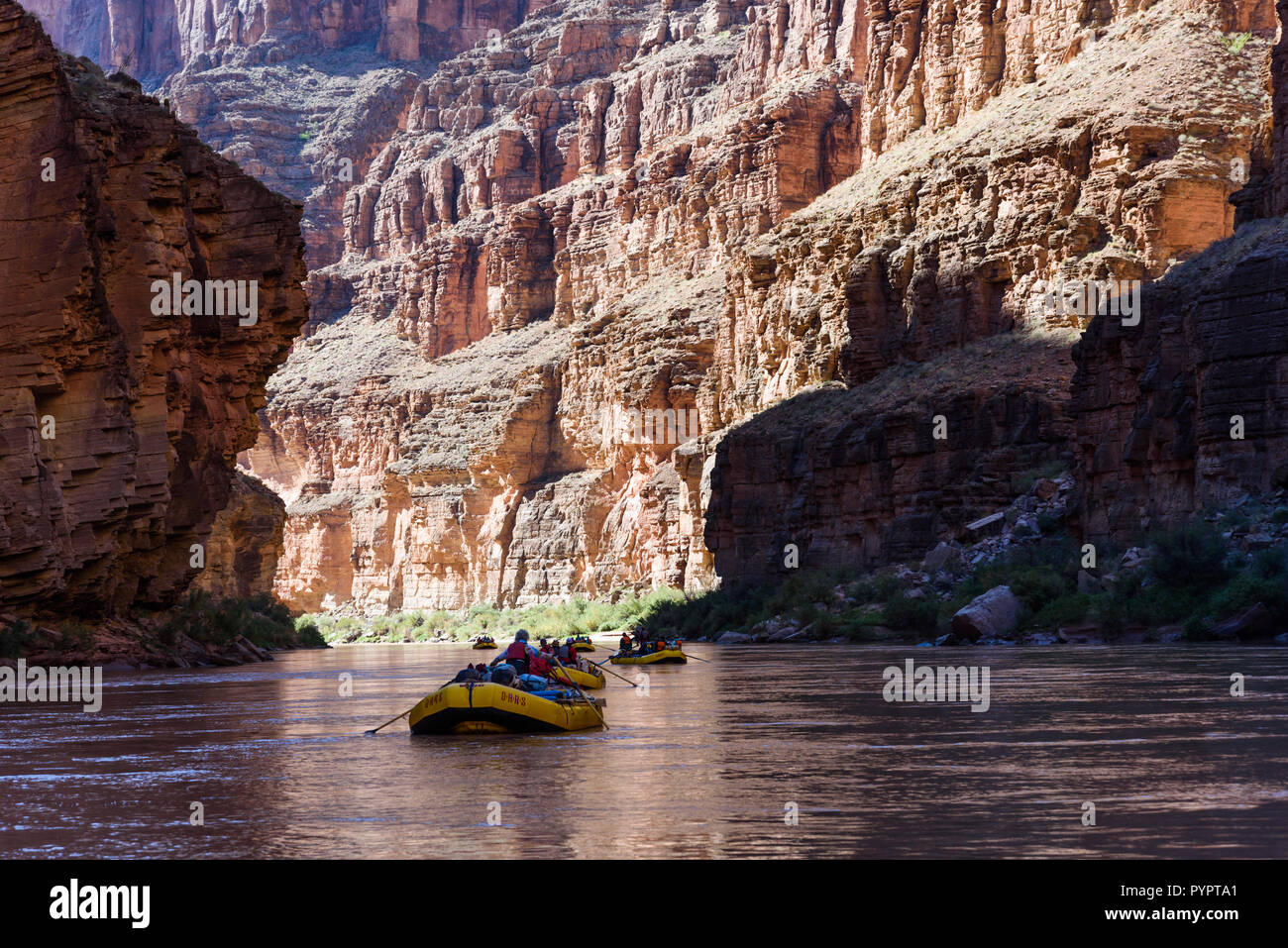 Rafting sul fiume Colorado e il Grand Canyon, Arizona, Stati Uniti d'America. Foto Stock