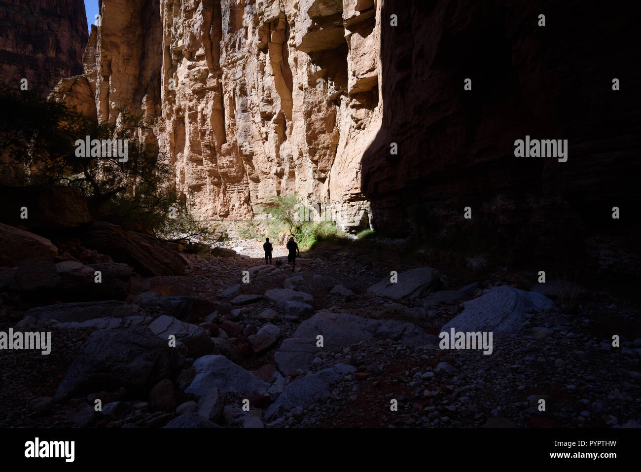 Rafting sul fiume Colorado e il Grand Canyon, Arizona, Stati Uniti d'America. Foto Stock