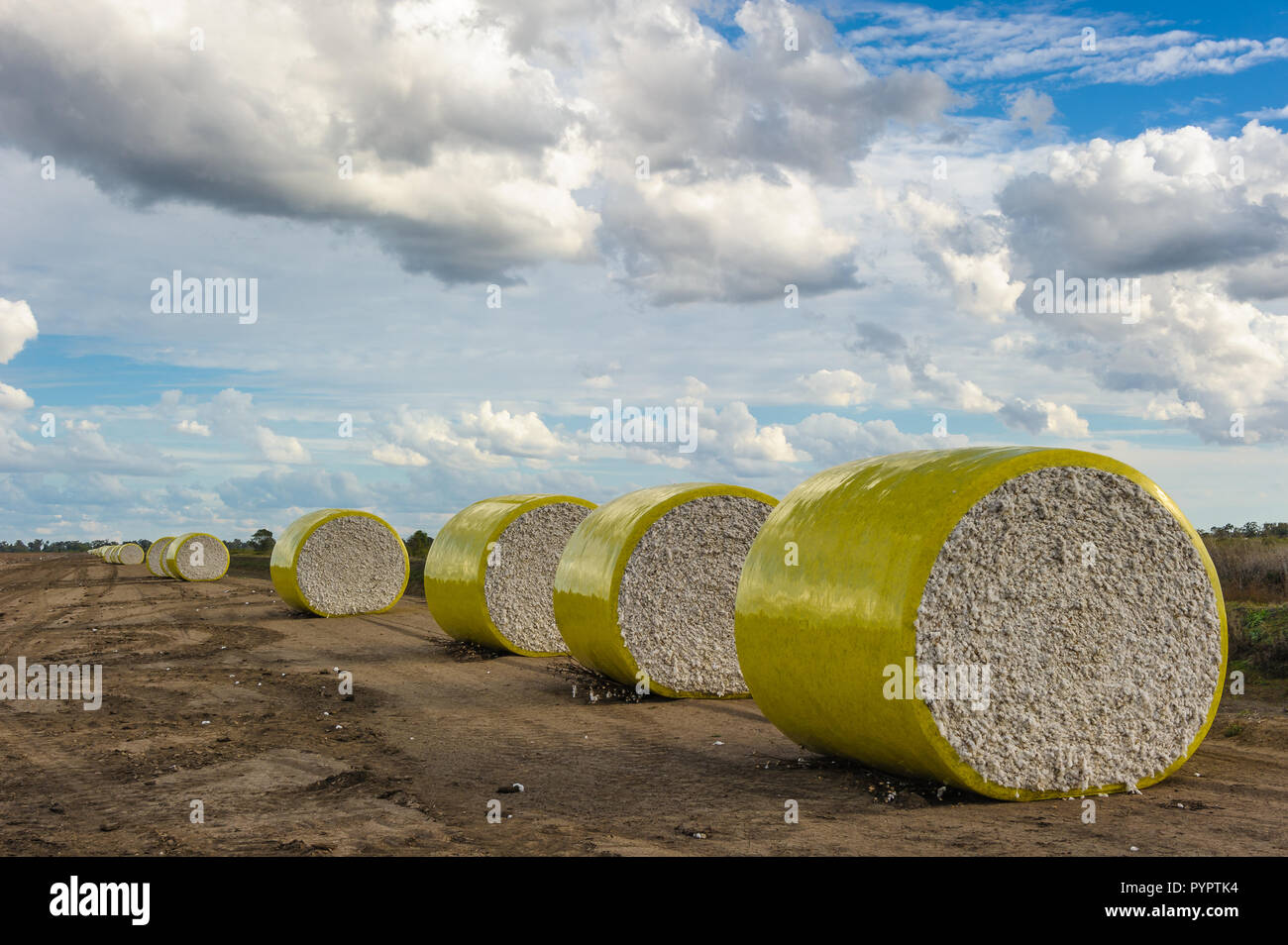 Il cotone ales impilati accanto a un canale di irrigazione su una farm di cotone in Moree, Queensland. Foto Stock