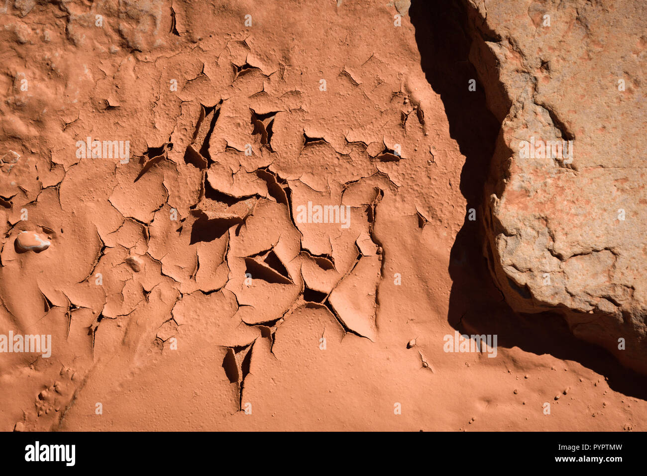 Rafting sul fiume Colorado e il Grand Canyon, Arizona, Stati Uniti d'America. Foto Stock