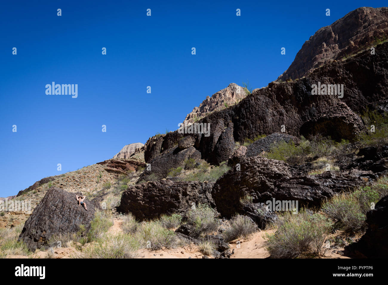 Rafting sul fiume Colorado e il Grand Canyon, Arizona, Stati Uniti d'America. Foto Stock