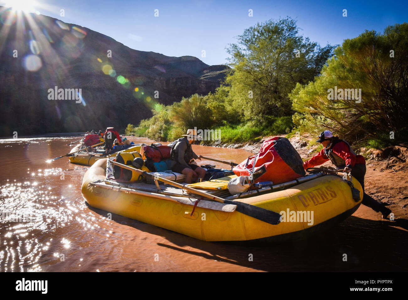 Rafting sul fiume Colorado e il Grand Canyon, Arizona, Stati Uniti d'America. Foto Stock