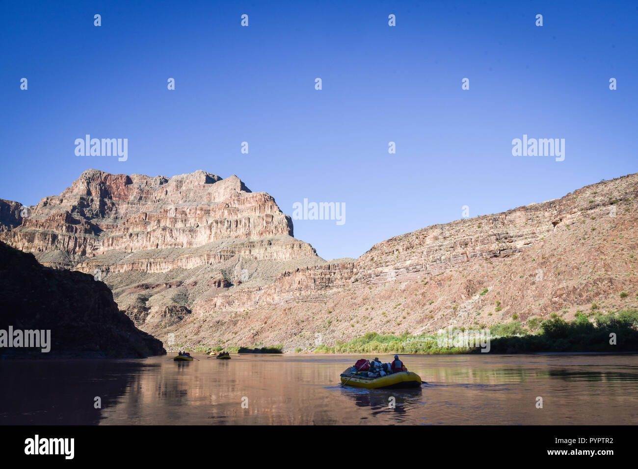 Rafting sul fiume Colorado e il Grand Canyon, Arizona, Stati Uniti d'America. Foto Stock
