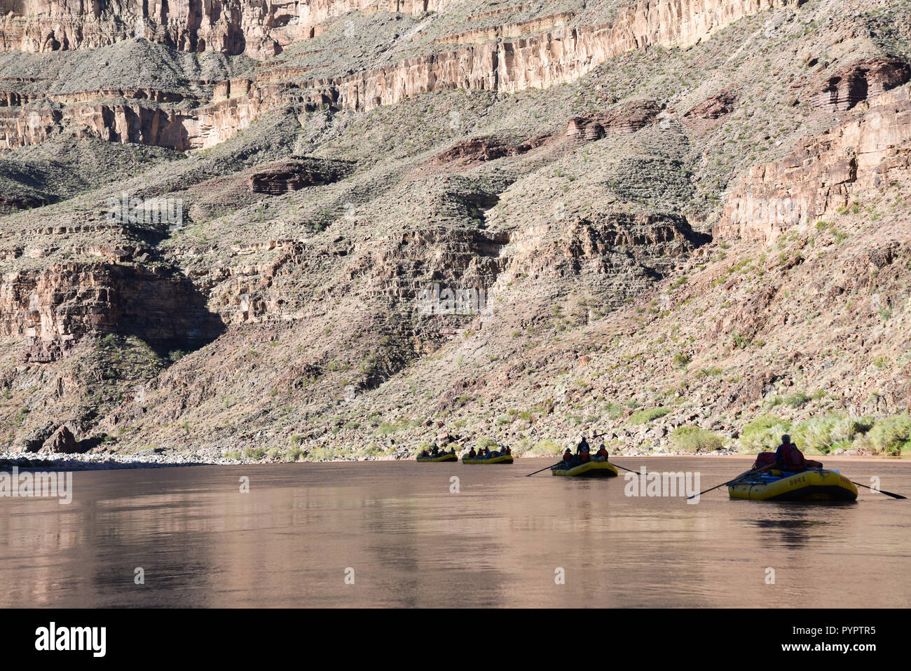 Rafting sul fiume Colorado e il Grand Canyon, Arizona, Stati Uniti d'America. Foto Stock