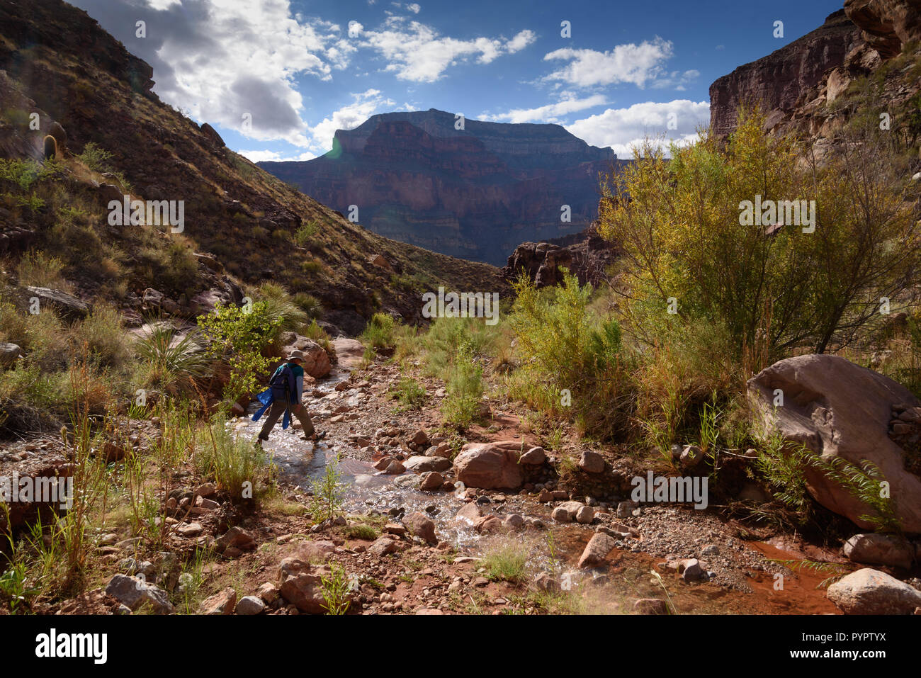 Escursionismo Stone Creek,.Rafting sul fiume Colorado e il Grand Canyon, Arizona, Stati Uniti d'America. Foto Stock
