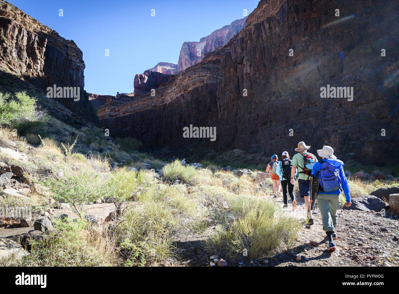 Escursionismo fino Tapeats Creek a Thunder River. Rafting sul fiume Colorado e il Grand Canyon, Arizona, Stati Uniti d'America. Foto Stock