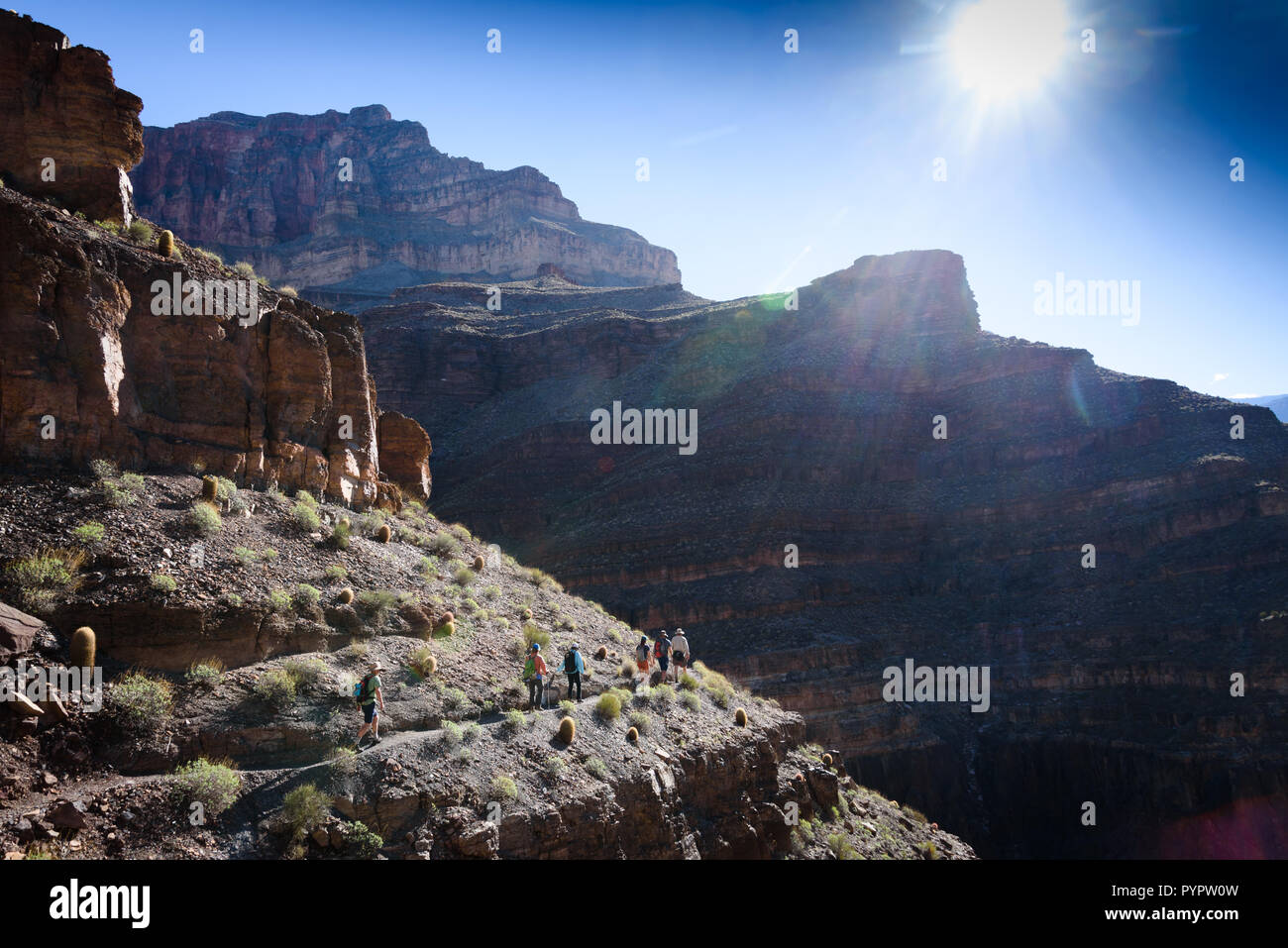 Escursionismo fino Tapeats Creek a Thunder River. Rafting sul fiume Colorado e il Grand Canyon, Arizona, Stati Uniti d'America. Foto Stock