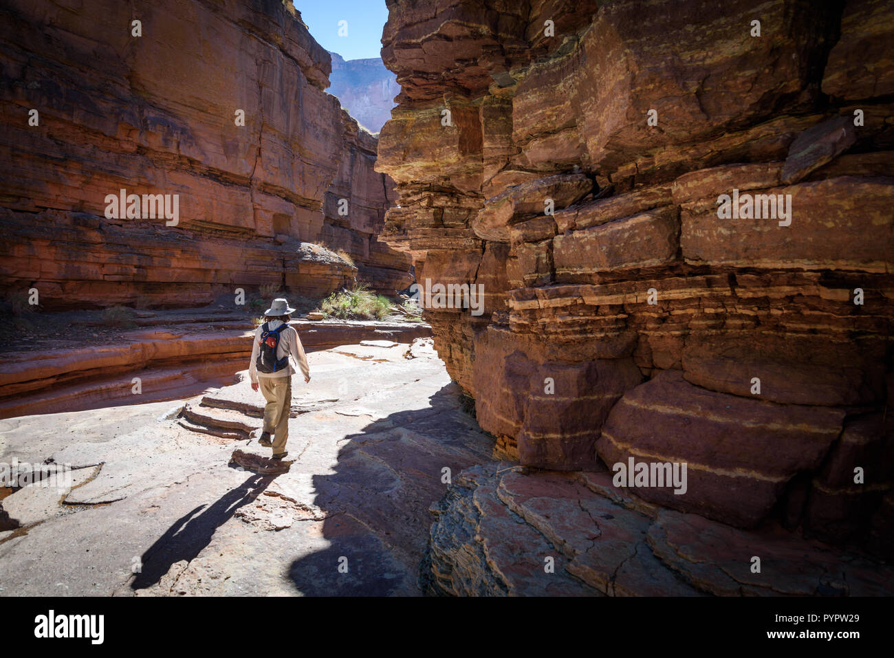 Lungo Deer Creek. Rafting sul fiume Colorado e il Grand Canyon, Arizona, Stati Uniti d'America. Foto Stock