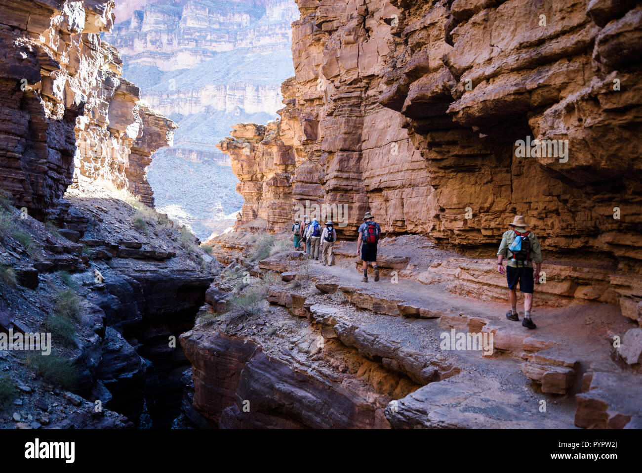 Lungo Deer Creek. Rafting sul fiume Colorado e il Grand Canyon, Arizona, Stati Uniti d'America. Foto Stock