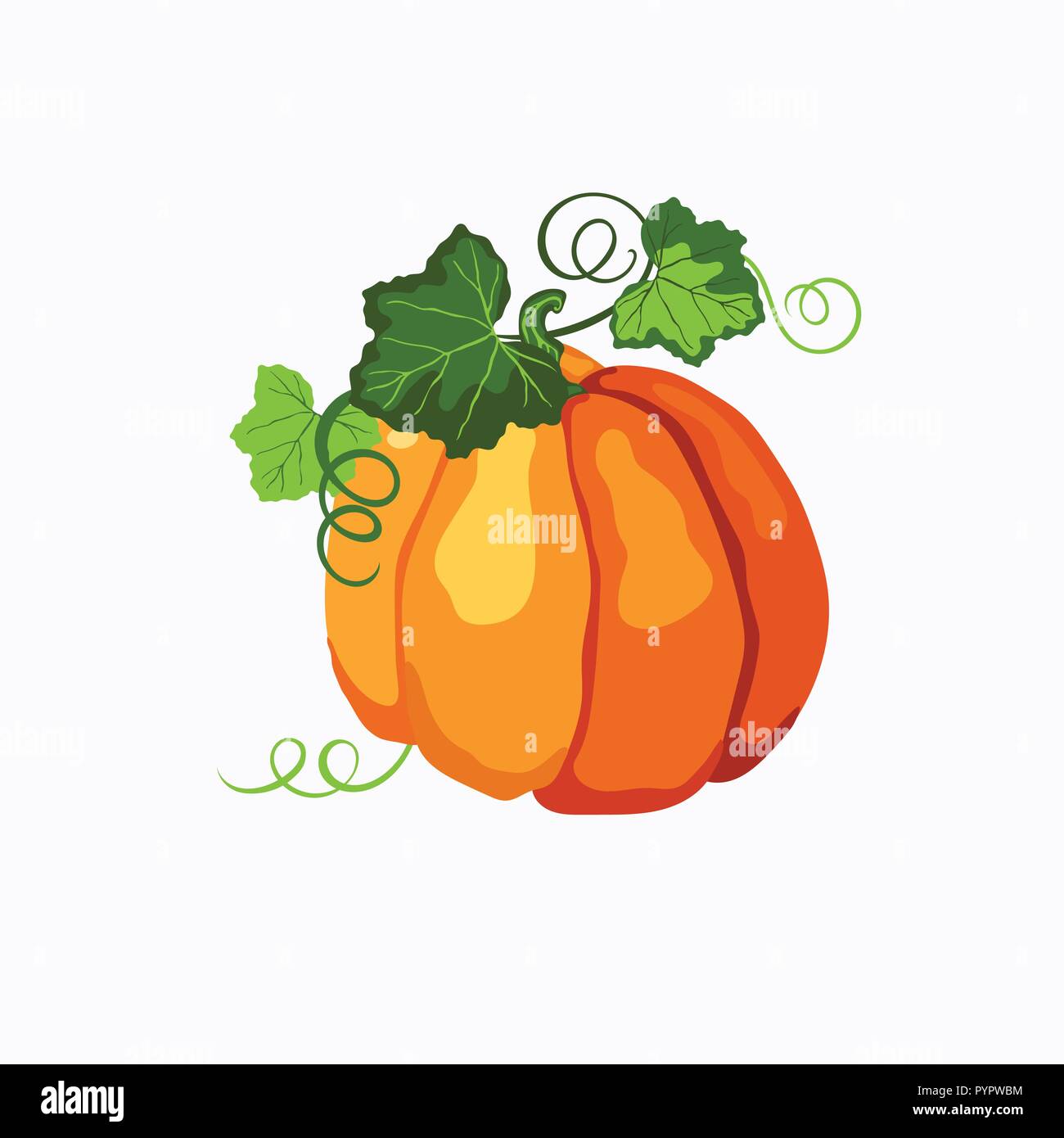 Vector Orange zucca matura con il verde delle foglie e steli isolati su uno sfondo bianco. Halloween, Ringraziamento, simbolo d'autunno. Illustrazione Vettoriale