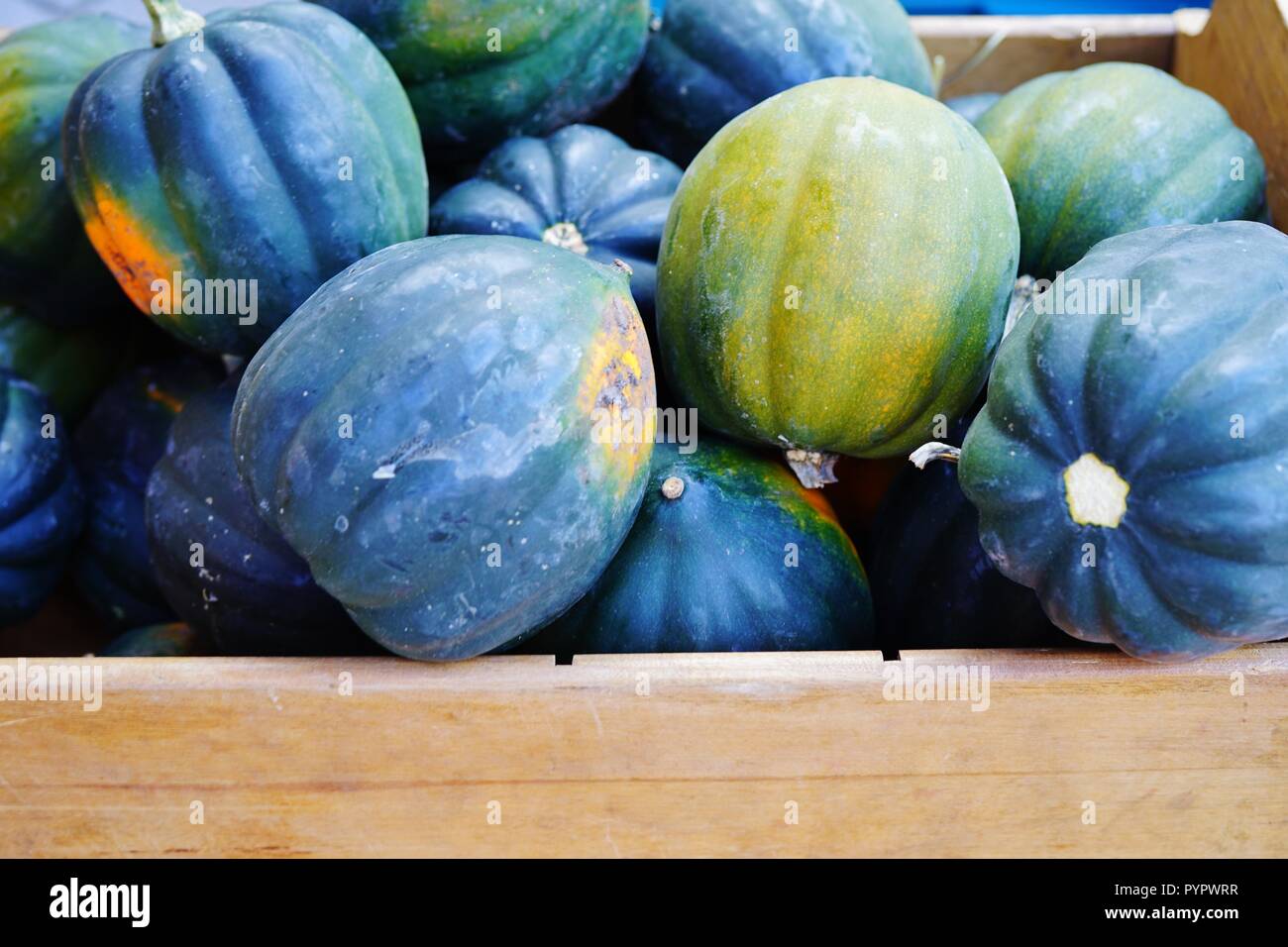 Cesto di verde e arancione acorn squash in autunno Foto Stock