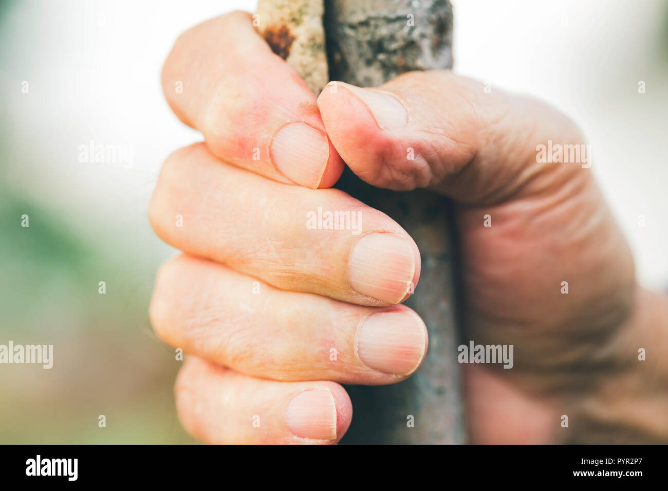 Il vecchio uomo chiuso a mano su un bastone Foto Stock