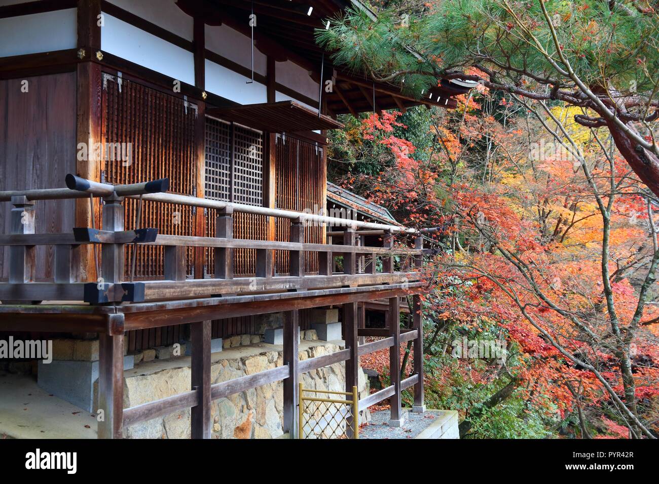 Kyoto, Giappone - Foglie di autunno a Eikando Zenrinji tempio. Foto Stock