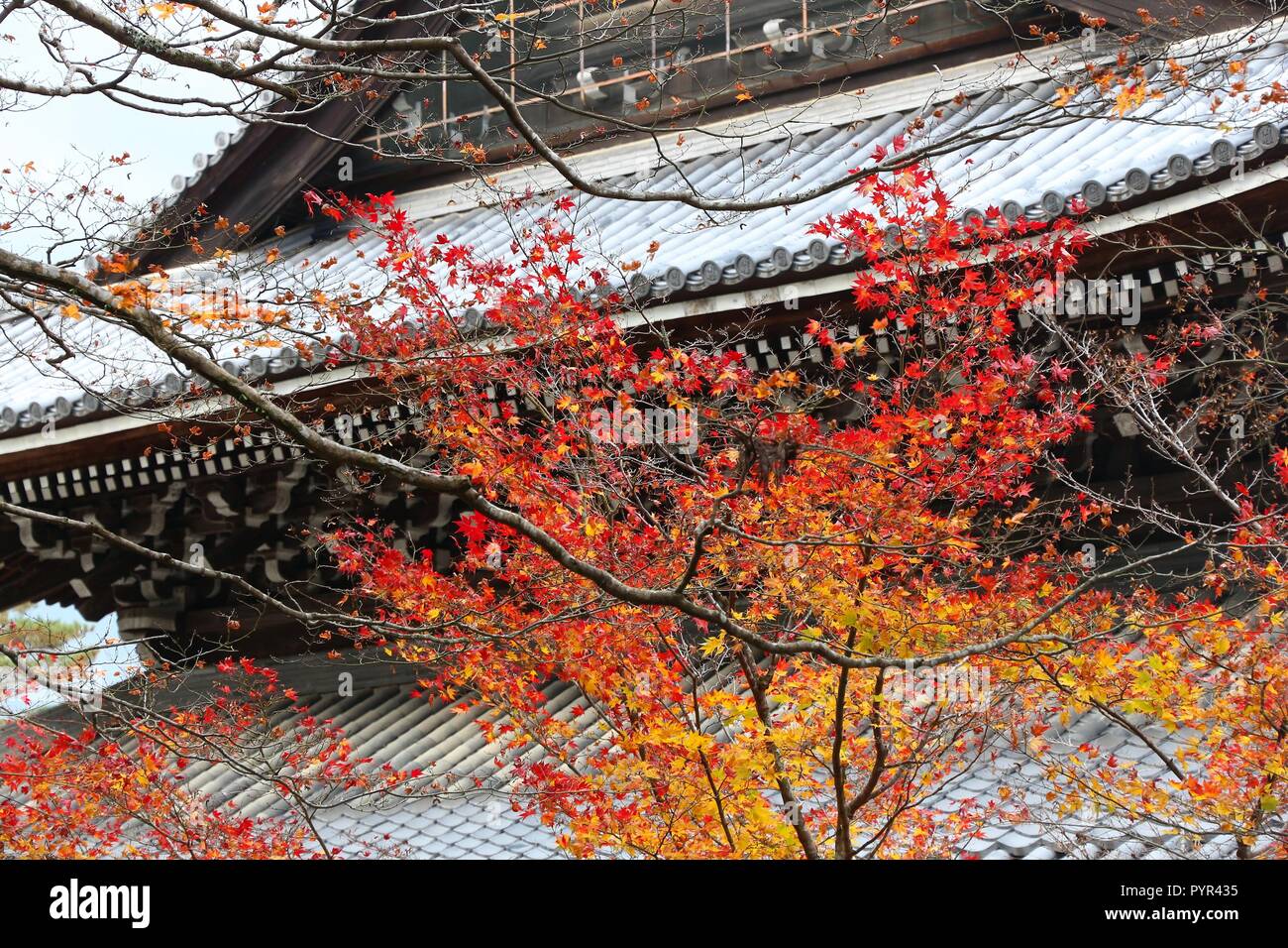 Punto di riferimento di Kyoto - Foglie di autunno a Nanzen-ji. Foto Stock