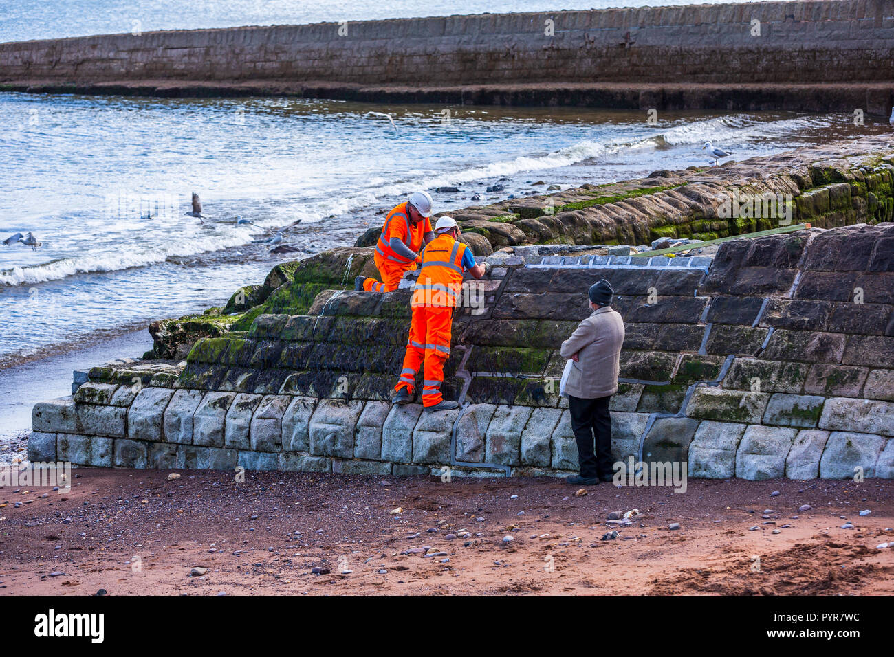 La riparazione e la ricostruzione del mare le difese della parete dopo il 2014 tempeste in Dawlish, Devon, Regno Unito. Foto Stock