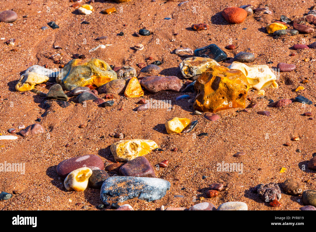 Altamente ciottoli colorati su una spiaggia di sabbia nel Devon, Regno Unito. Foto Stock