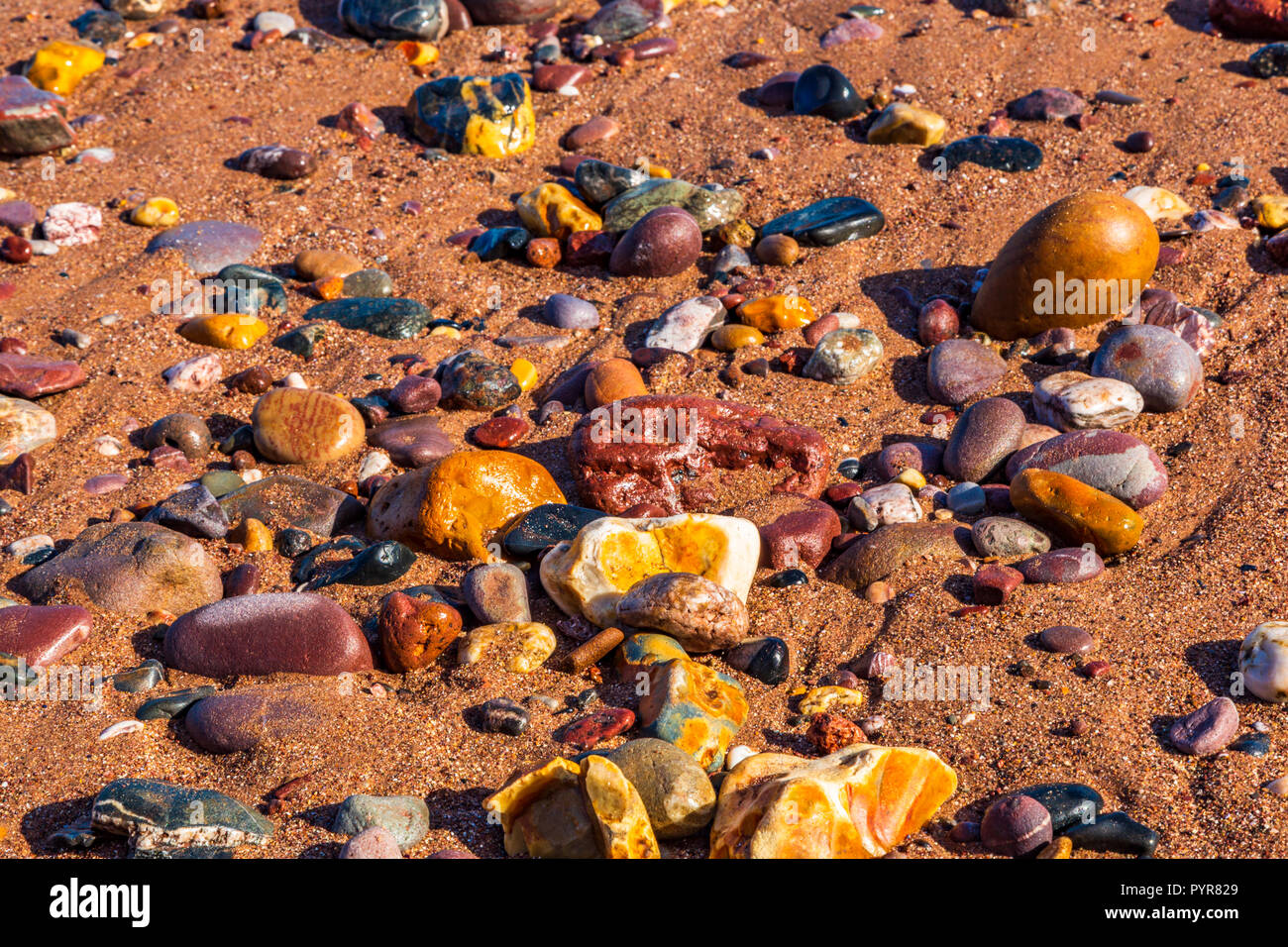 Altamente ciottoli colorati su una spiaggia di sabbia nel Devon, Regno Unito. Foto Stock