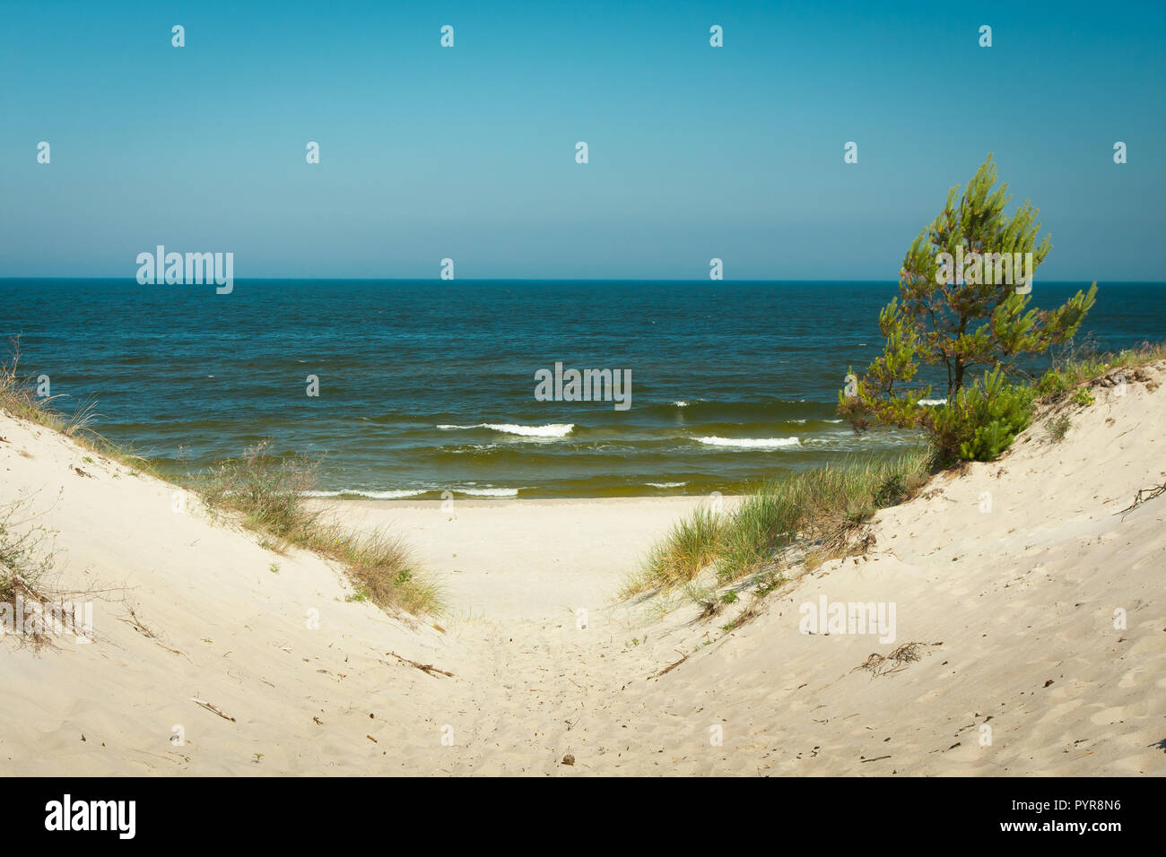 Ingresso alla spiaggia sabbiosa, Mar Baltico in Piaski, Polonia Foto Stock
