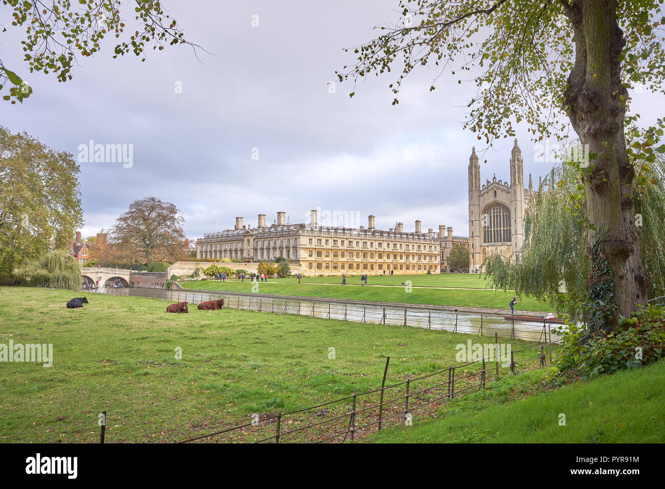 Clare College e King's College, Università di Cambridge, come si vede dal prato sul lato ovest del fiume Cam, Inghilterra. Foto Stock