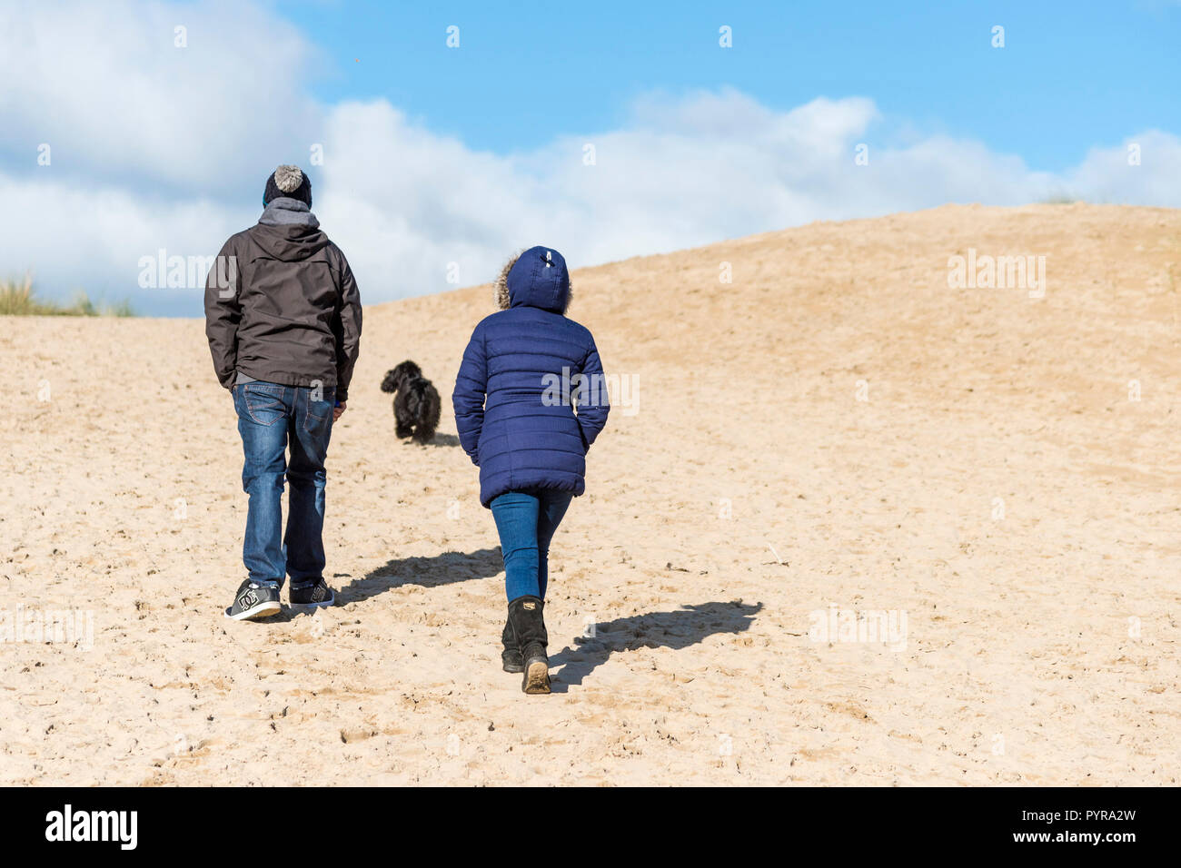 Dog walkers su una duna di sabbia a Crantock Beach in Newquay in Cornovaglia. Foto Stock