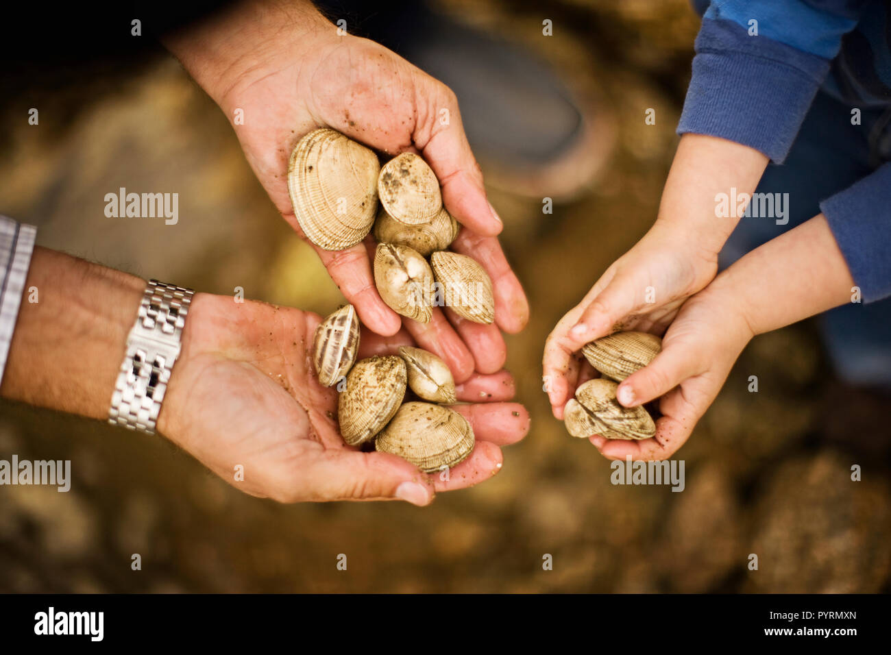 Uomo e bambino con le mani in mano tenendo i crostacei Foto Stock